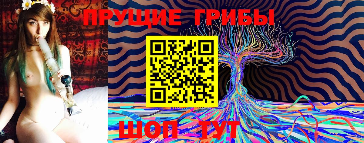 Псилоцибиновые грибы прущие грибы Михайловка