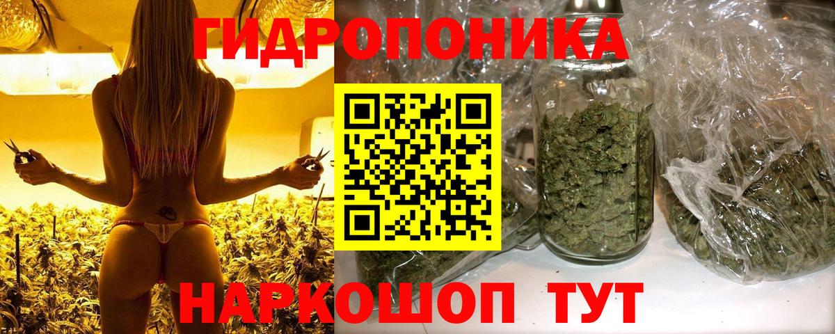 Каннабис сатива Михайловка